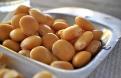 Tremoços (Lupini Beans)