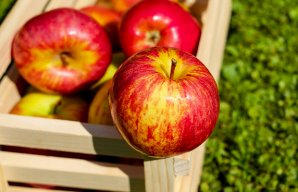 Simple and Healthy Apple and Orange Drink