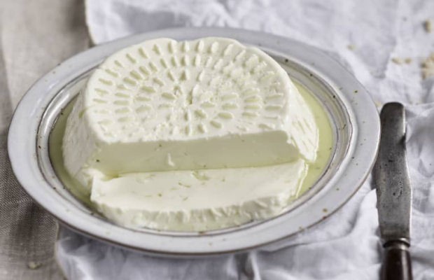 Delicious Fresh White Cheese